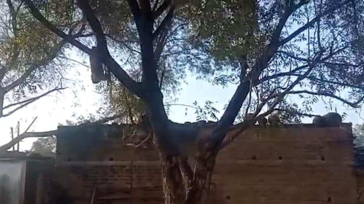 Jhansi: Lover and girlfriend committed suicide together by hanging themselves.