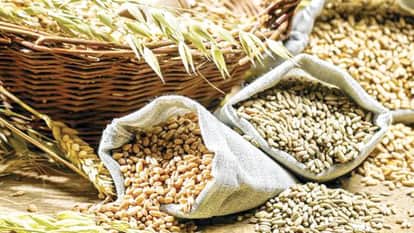 Jhansi: Jowar and millet will also be available along with wheat and rice