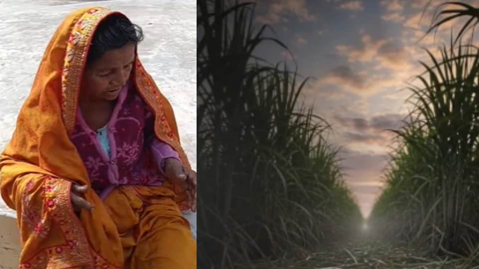 वृद्धा पर गुलदार का हमला