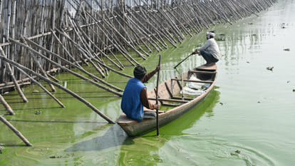 Pollution in Ramgarhtal, Gorakhpur is causing fish deaths.