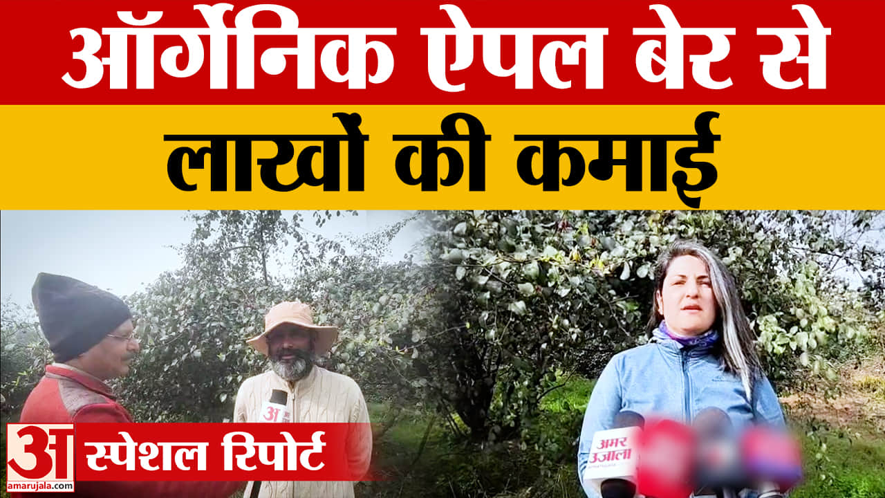 करनाल में ऑर्गेनिक ऐपल बेर की खेती, देश-विदेश से फार्म देखने आते हैं लोग