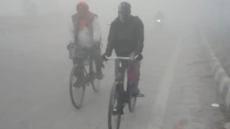 पंजाब में चार दिन घने कोहरे का अलर्ट:दो पश्चिमी विक्षोभ सक्रिय होने से बदलेगा मौसम, अमृतसर रहा सबसे ठंडा – Four Day Dense Fog Alert In Punjab Weather To Change Due To Two Active Western Disturbances