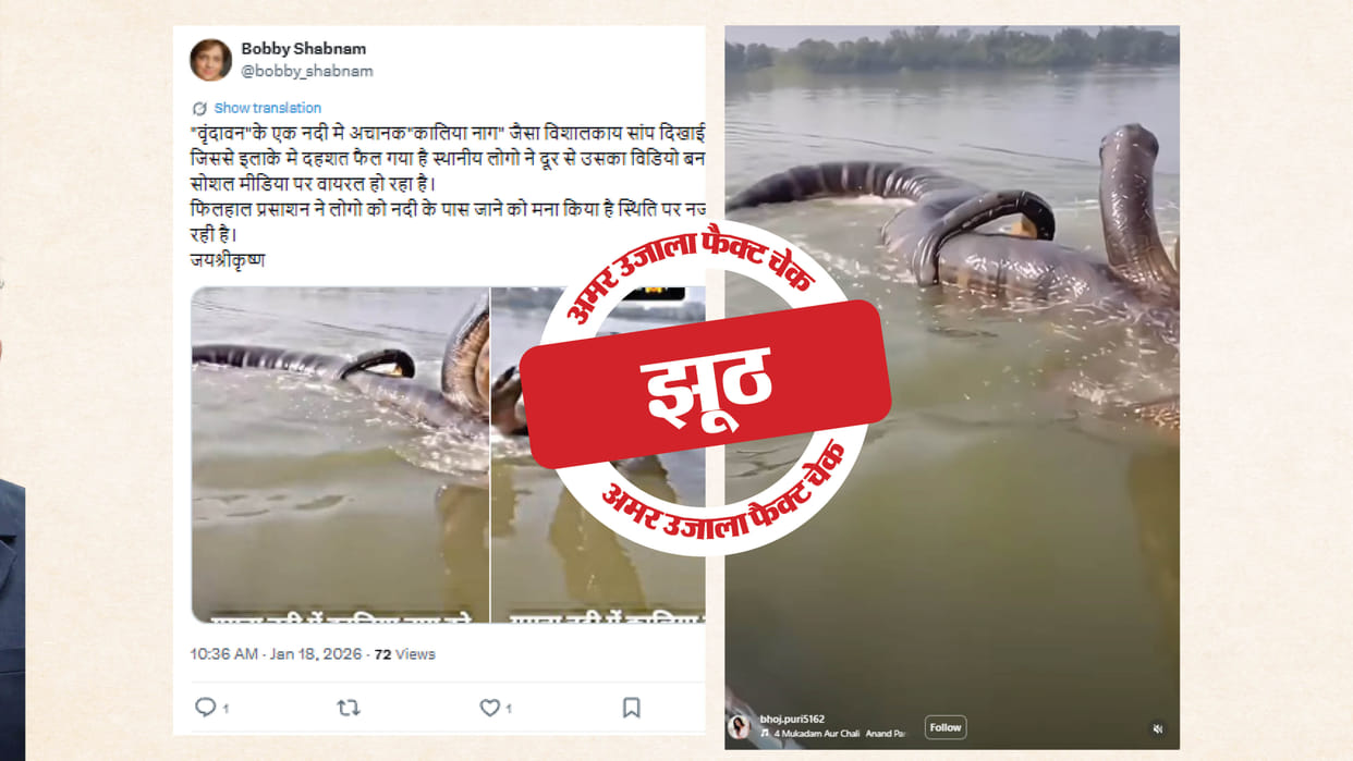Fact Check AI-generated video of a seven-headed snake is being shared as real