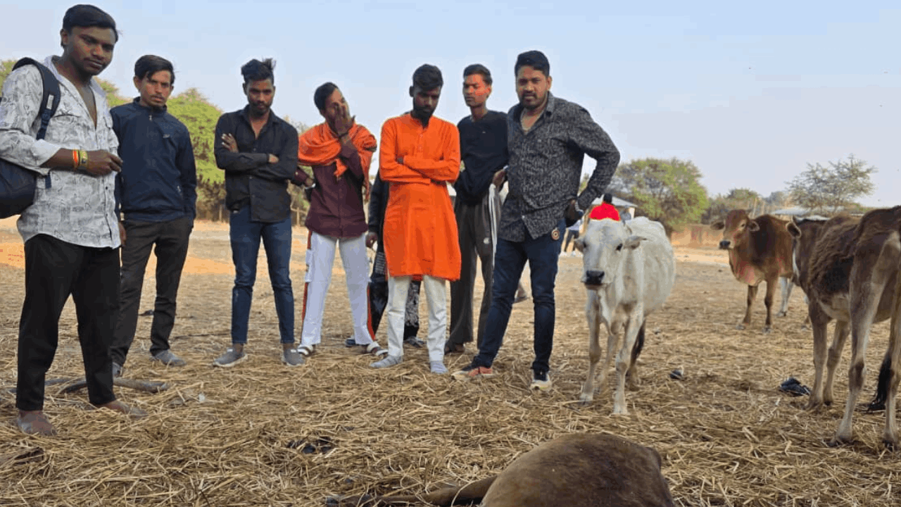 गौसेवकों में भारी नाराजगी