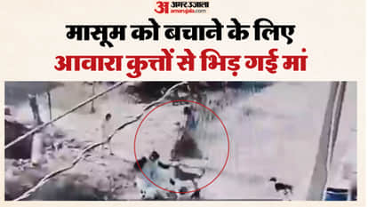 Sawai Madhopur News: Stray Dogs Attack Infant in Woman Arms, Terrifying Scene Caught on Camera