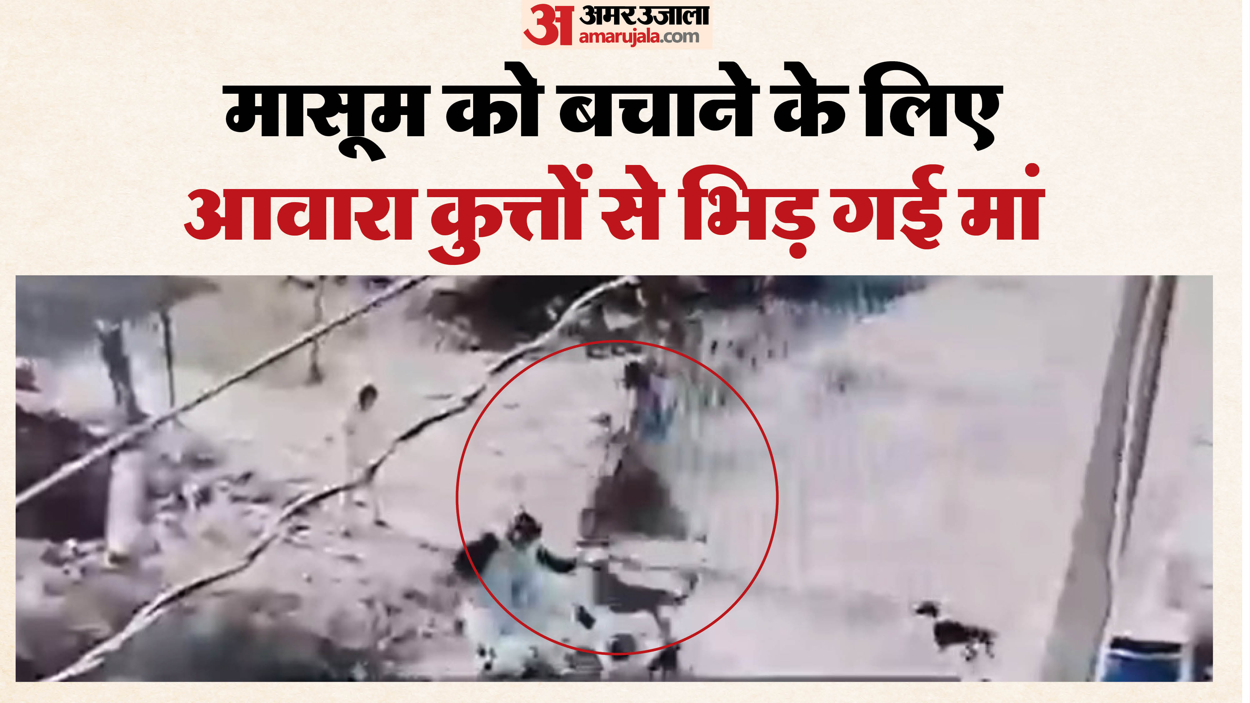 घटना का सीसीटीवी फुटेज