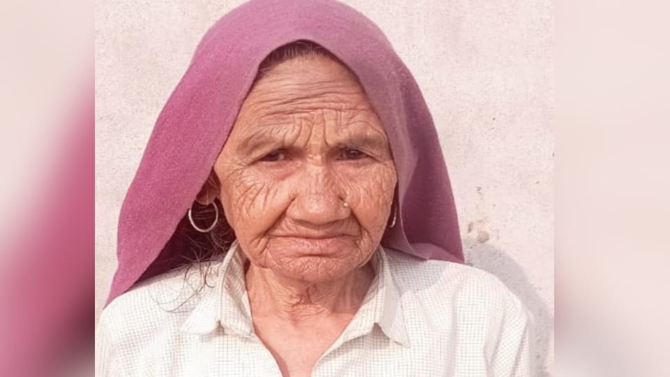 Meerut: The bull stuck its horn in the stomach of an old woman, picked her up and threw her on the ground