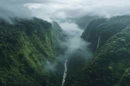 famous urdu shayari top urdu sher best urdu shayari viral sher social media poetry