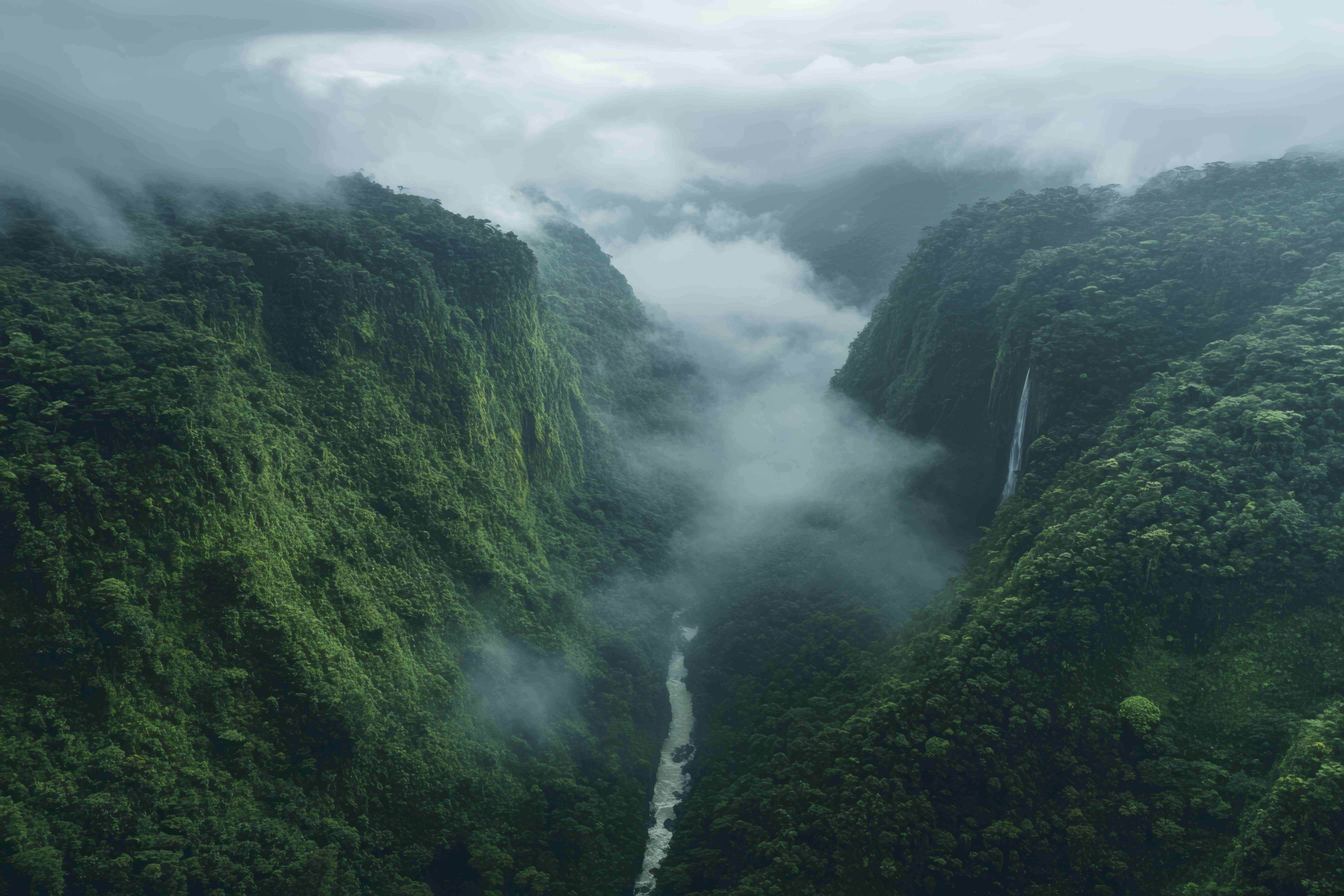 famous urdu shayari best urdu sher top poetry viral shayari social media poetry collection