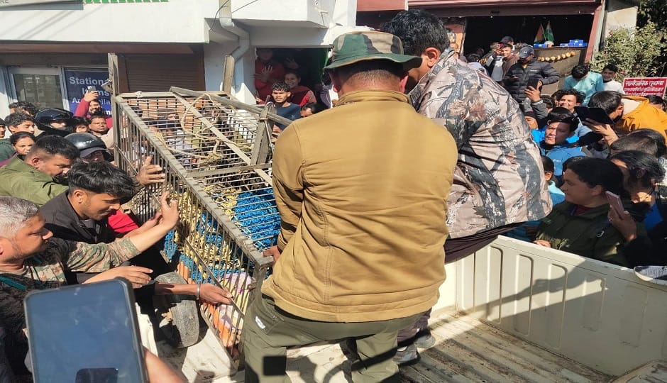 The leopard roamed among the population for two and a half hours, spreading fear in pithoragarh