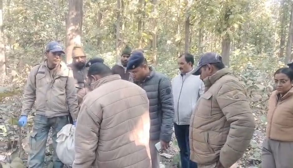 The cubs, along with the tigress, also had human blood on their mouths in ramnagar