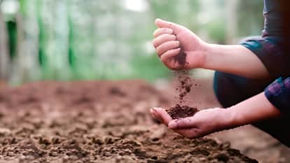 Worrying: Increasing drought poses a serious threat to global food security