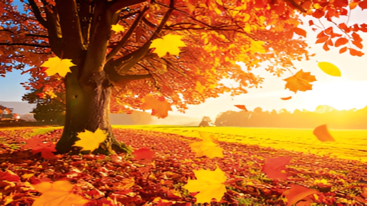 Why do leaves fall from trees