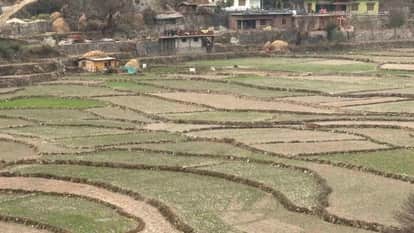 Lack of snowfall and rain affected not only crops but also tourism business Chamoli Uttarakhand News