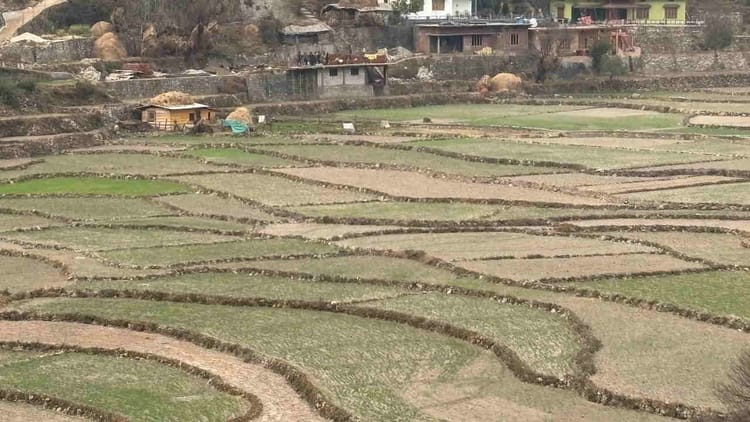 बर्फबारी और बारिश नहीं होने से फसलों के साथ ही पर्यटन व्यवसाय भी प्रभावित