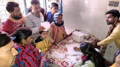 Dogs and monkeys attacked Moradabad, biting 46 people in one day