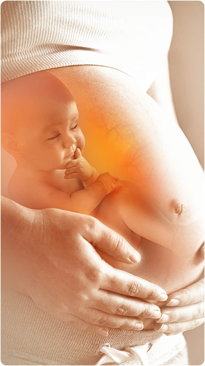 गर्भावस्था