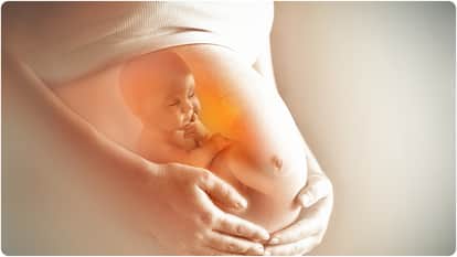 fertility crisis Worldwide latest data why women above 35 are unable to conceive explainer