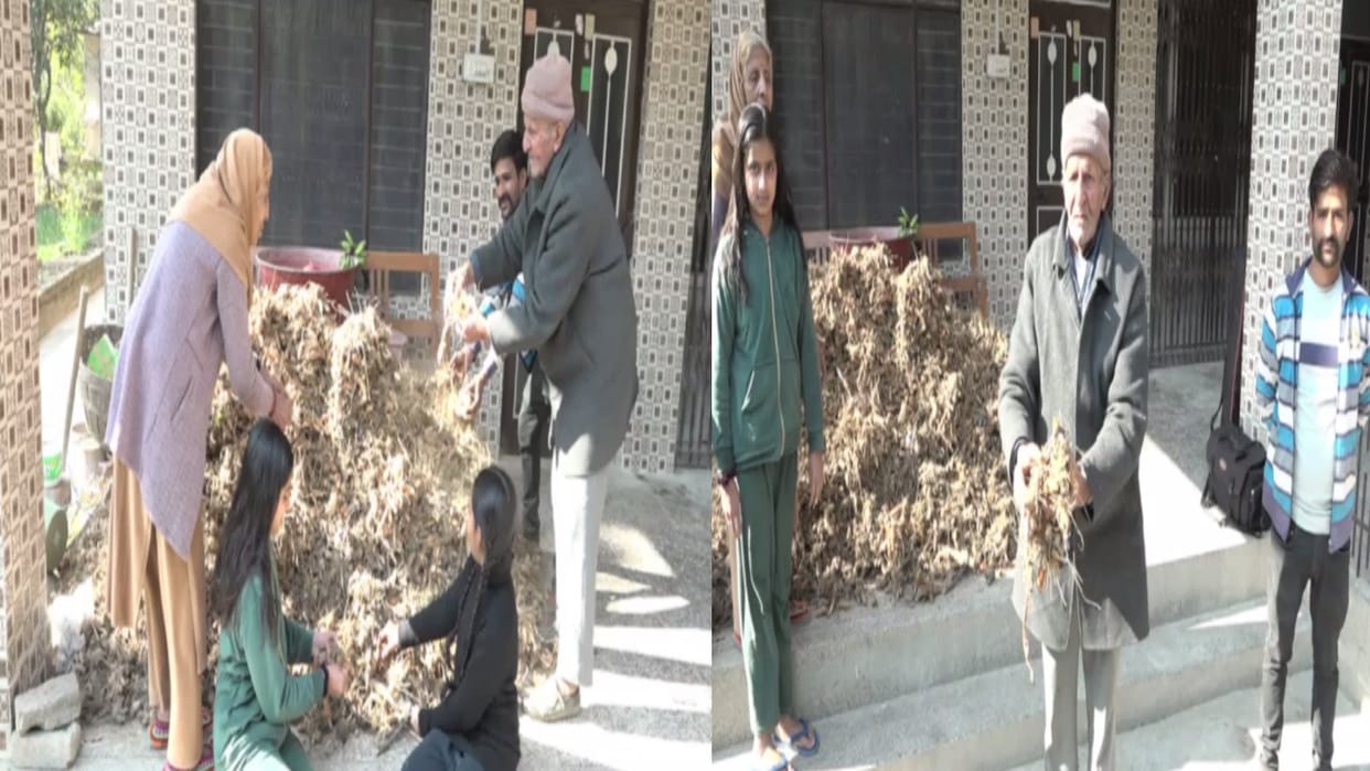 retired principal cultivated 10 quintals of turmeric using natural farming methods