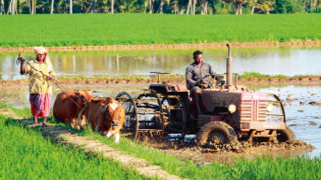Rural markets reach new heights, playing a crucial new role in indian economy