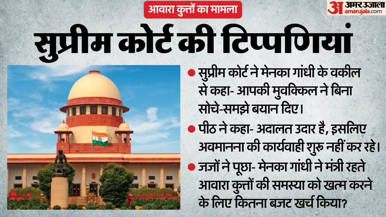Supreme Court hearing updates on Stray Dogs Case prashant bhushan delhi ncr dog attack MCD rules