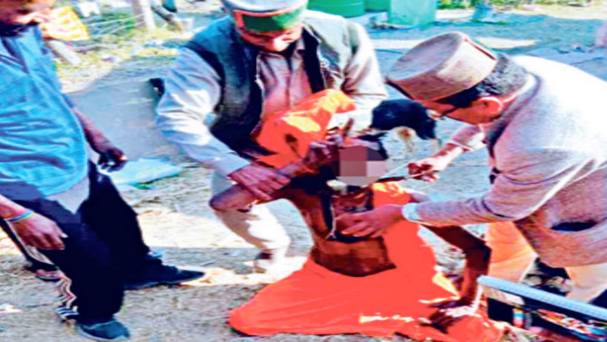 Sirmaur: Panchayat pradhan accused of cutting a sadhu's hair; outrage among the sadhu community.