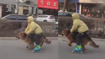 Viral Video Little boy was seen making a dog run on the road like a horse
