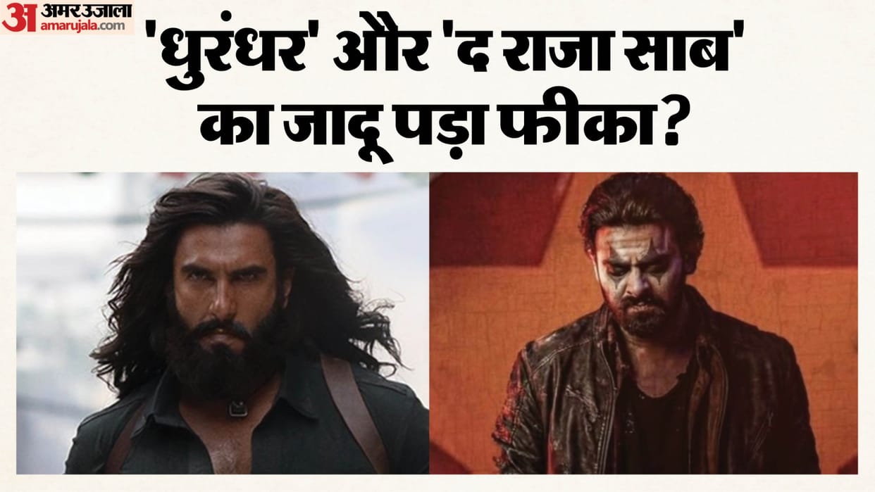 Dhurandhar Day 48 And The Raja Saab Day 13 Wednesday Box Office Collection Earning Decrease
