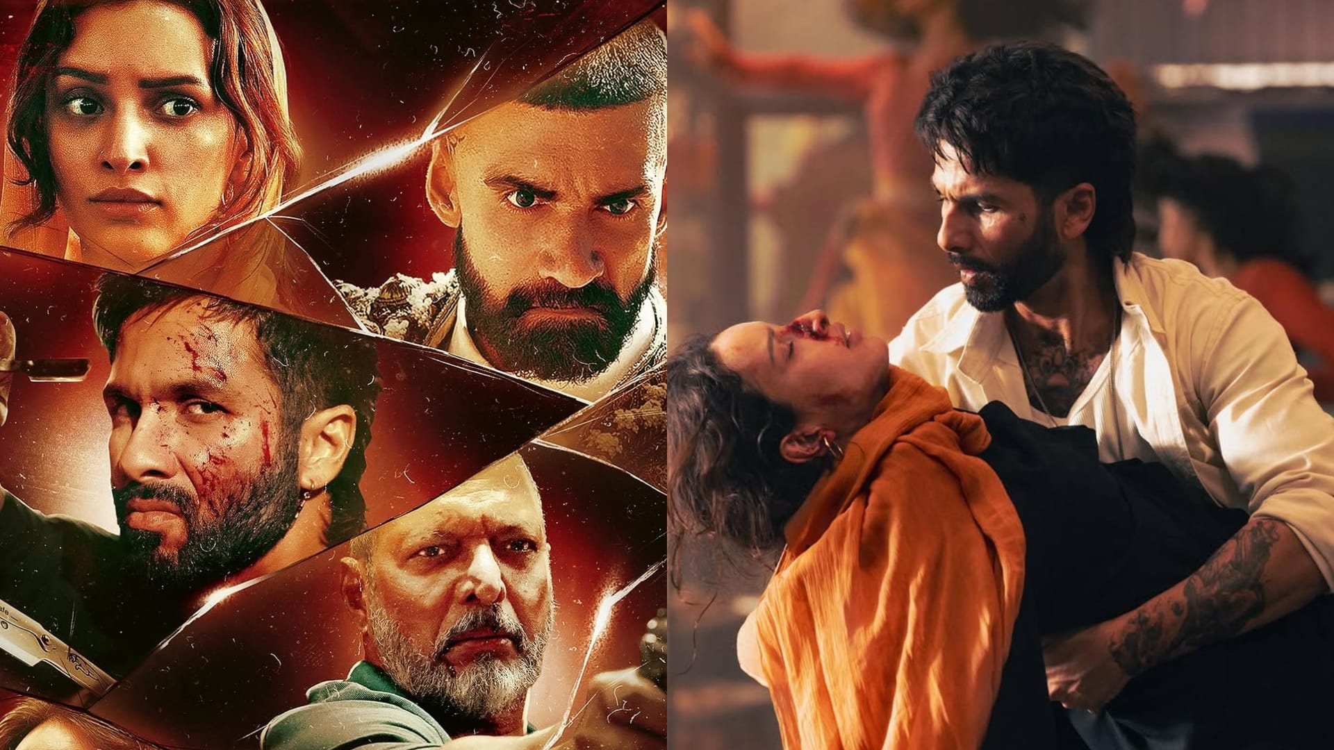 Upcoming Bollywood Releases In February 2026: Shahid Kapoor's O'Romeo To Taapsee Pannu's Assi