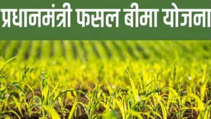 insurance company earned millions of rupees but farmer received only RS 2.72 as compensation for his crop loss