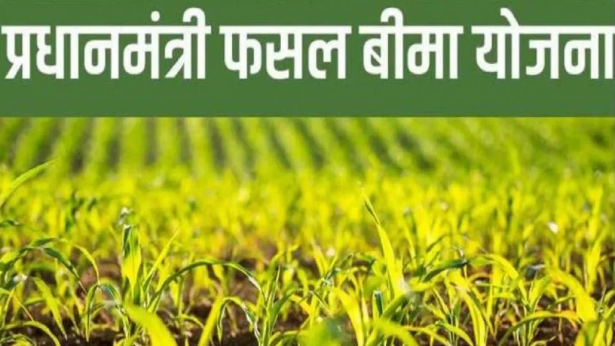 insurance company earned millions of rupees but farmer received only RS 2.72 as compensation for his crop loss