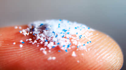 Microplastics are causing oceans to lose their carbon absorption capacity, weakening Earth natural defenses