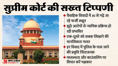 Why is the court concerned about fake evidence being fabricated using AI and false allegations in matrimonial