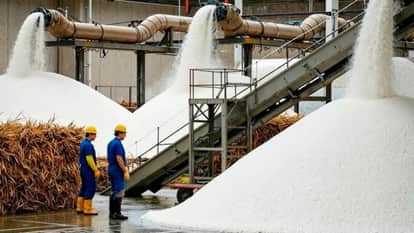 Sugar production increased by 22 pc due increased supply of sugarcane, 518 mills operational till January 15