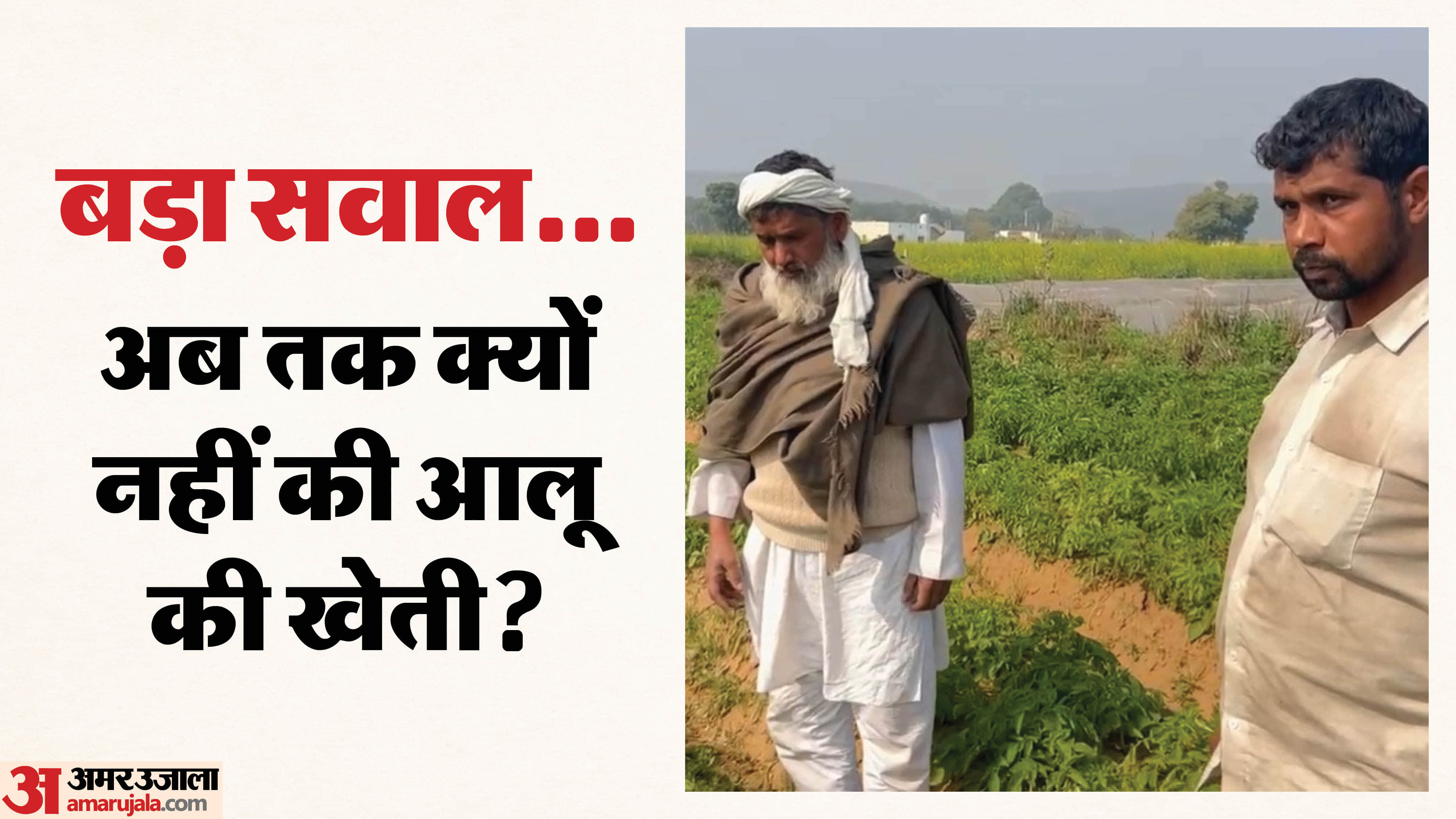 आलू की फसल दिखाते किसान