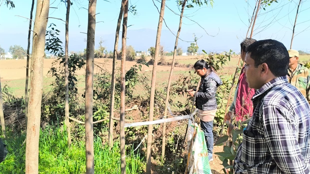 Elephant found dead in Tiparpur village Vikasnagar Land Conservation Forest Department Timli Range Kasi