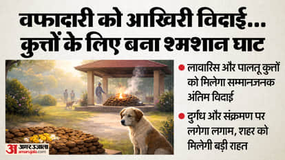 India first dog crematorium ready in Faridabad Smart City for last rites