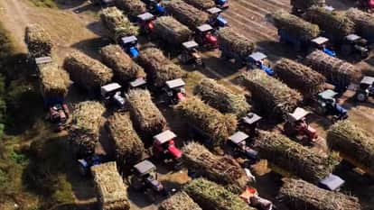 Agricultural land area decreased in ten years farmers abandoning farming delayed payments and rising costs