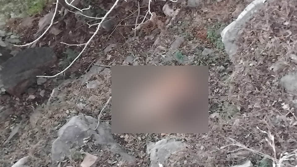 झाड़ियों में मिला महिला का शव