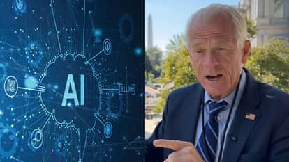 peter navarro free ai to india reality commercial interest vs charity debate