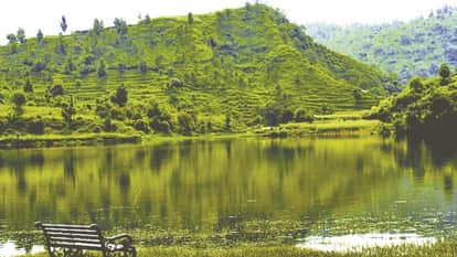 Shivalik Hills in danger panjab university warns of serious threat to biodiversity