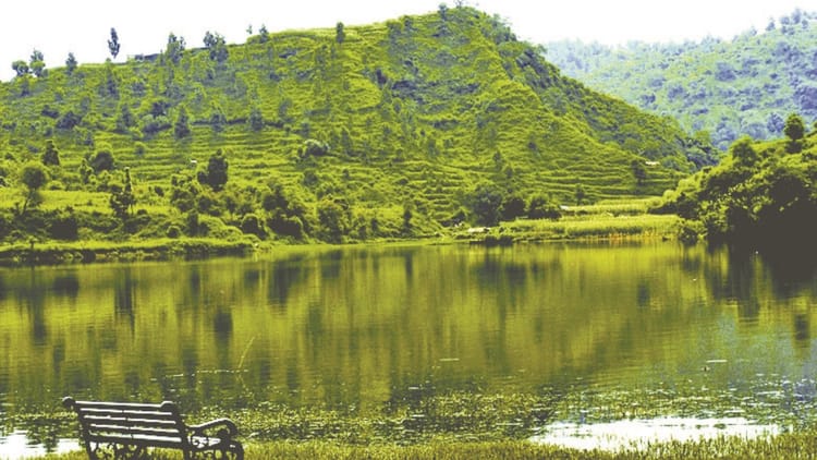 शिवालिक पर संकट:पीयू की चेतावनी-जैव विविधता को गंभीर खतरा, विलुप्ति की कगार पर दुर्लभ प्रजातियां – Shivalik Hills In Danger Panjab University Warns Of Serious Threat To Biodiversity