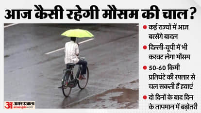 weather news today punjab delhi uttar pradesh rain gusty winds dense fog
