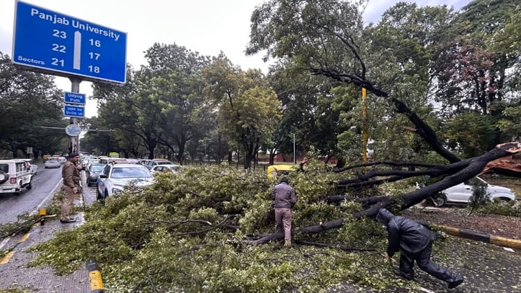 चंडीगढ़ समेत ट्राईसिटी में बदला माैसम:तेज हवाओं से गिरे पेड़, मनीमाजरा में घर की छत ढही; तीन बच्चे घायल – Rain In Chandigarh Mohali Panchkula Mausam Update