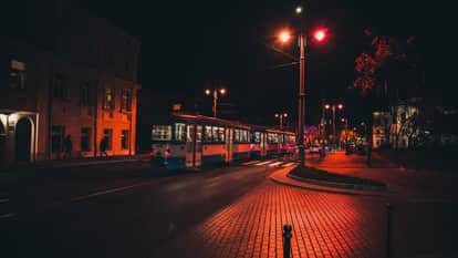 Denmark red street lights has been changed for bats not humans reason wildlife safety experiment