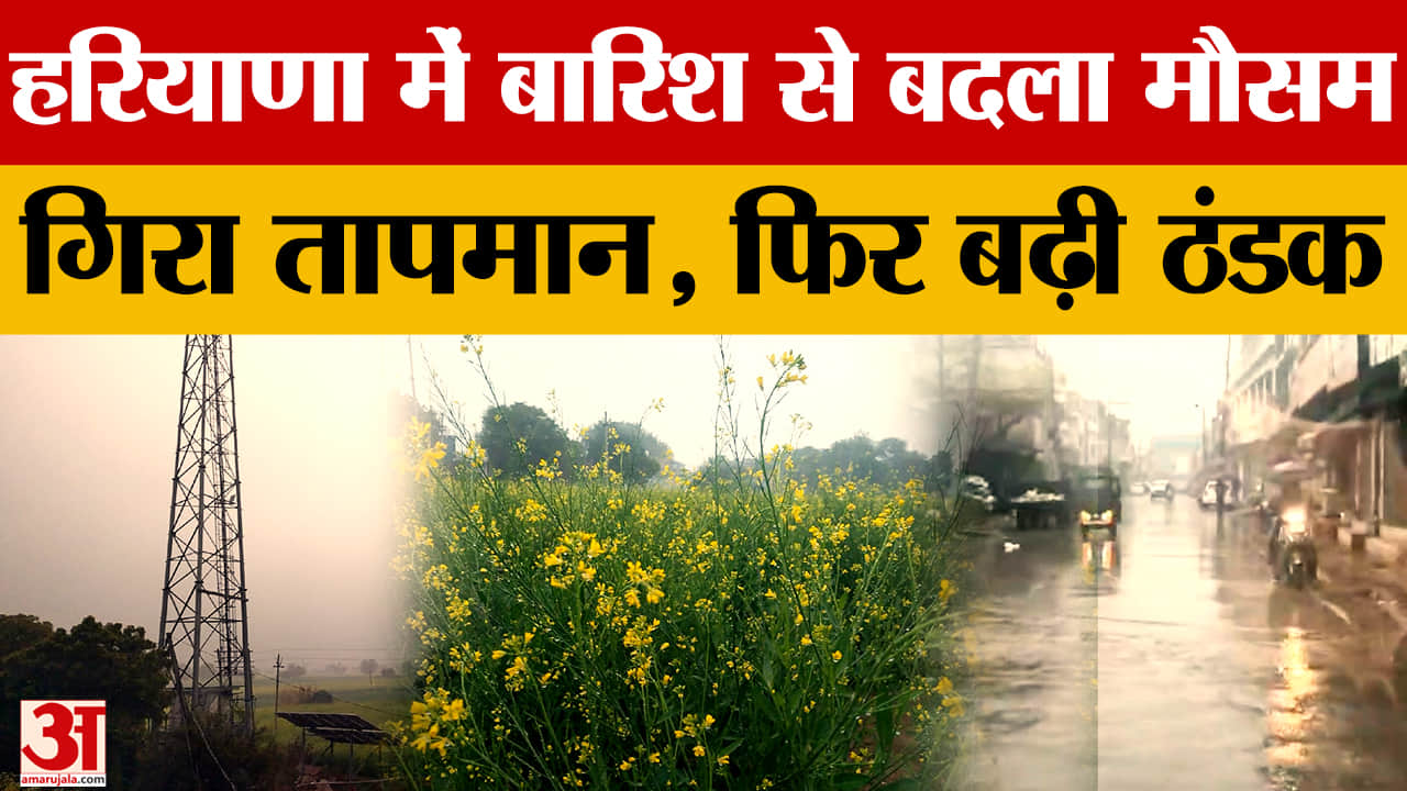 हरियाणा में बारिश
