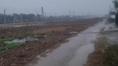 Rain in Haryana on vasant panchami
