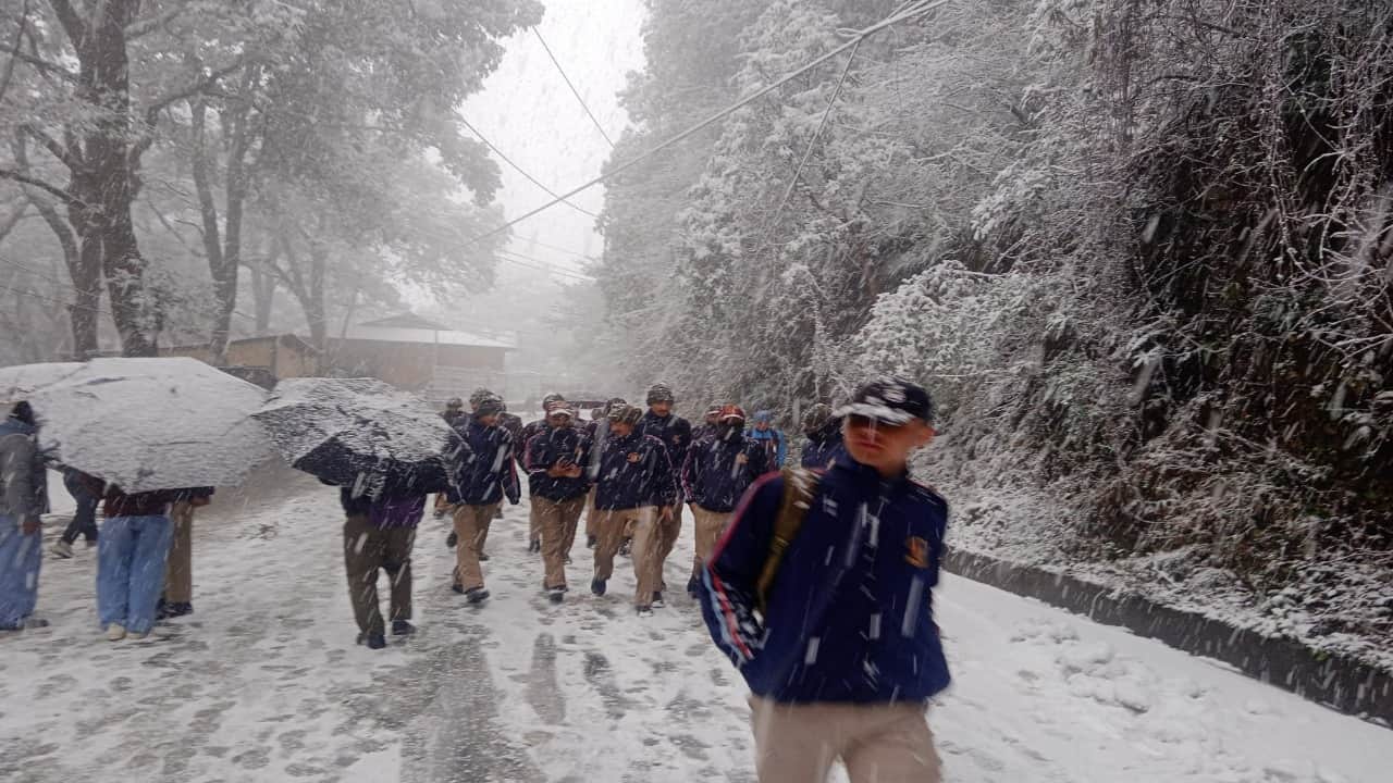Himachal Pradesh Weather Forecast: Snowfall in Shimla, Manali First Snow of the Season HP Mausam