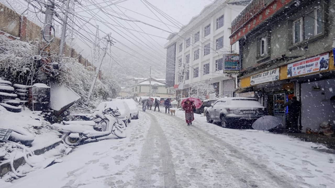 Himachal Pradesh Weather Forecast: Snowfall in Shimla, Manali First Snow of the Season HP Mausam