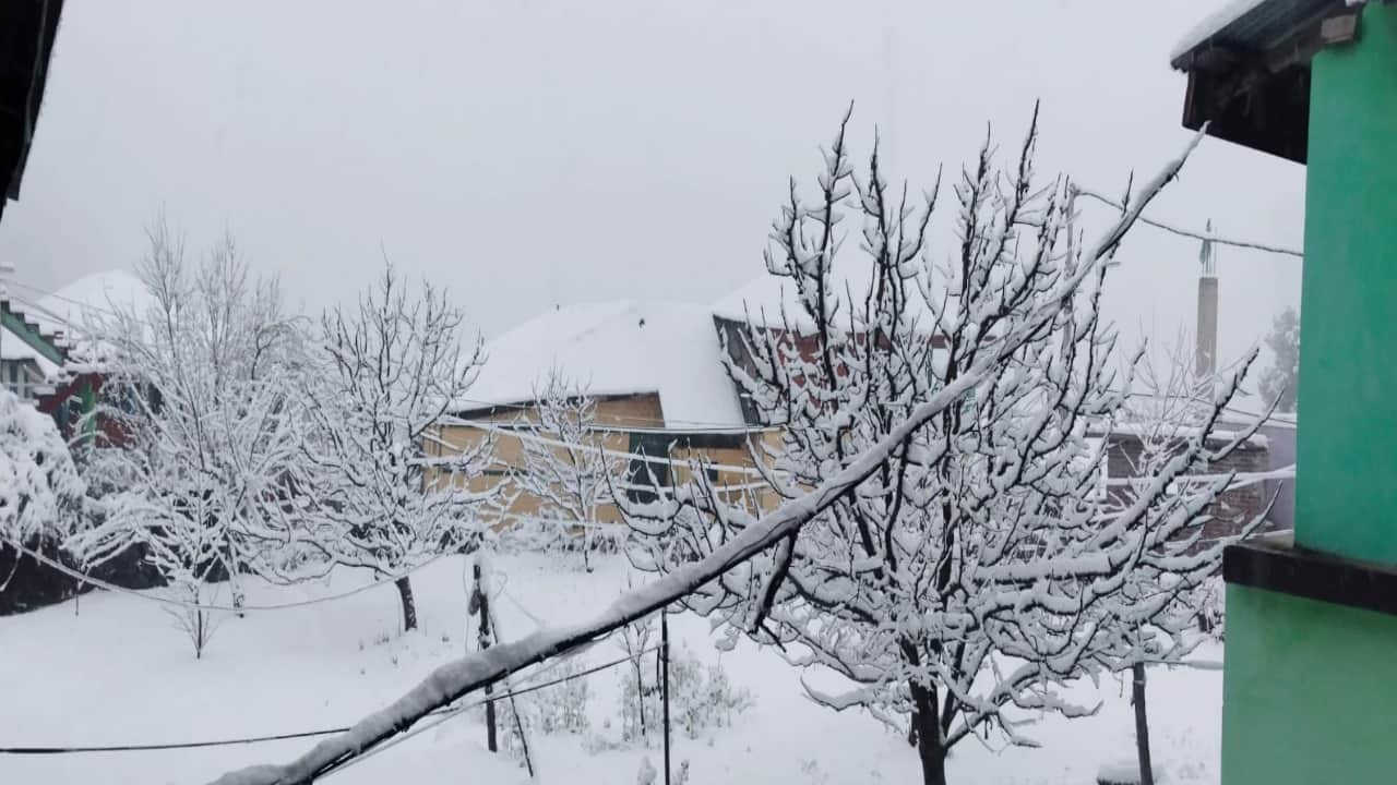 Himachal Pradesh Weather Forecast: Snowfall in Shimla, Manali First Snow of the Season HP Mausam